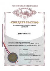 STEAMEXPERT товарный знак